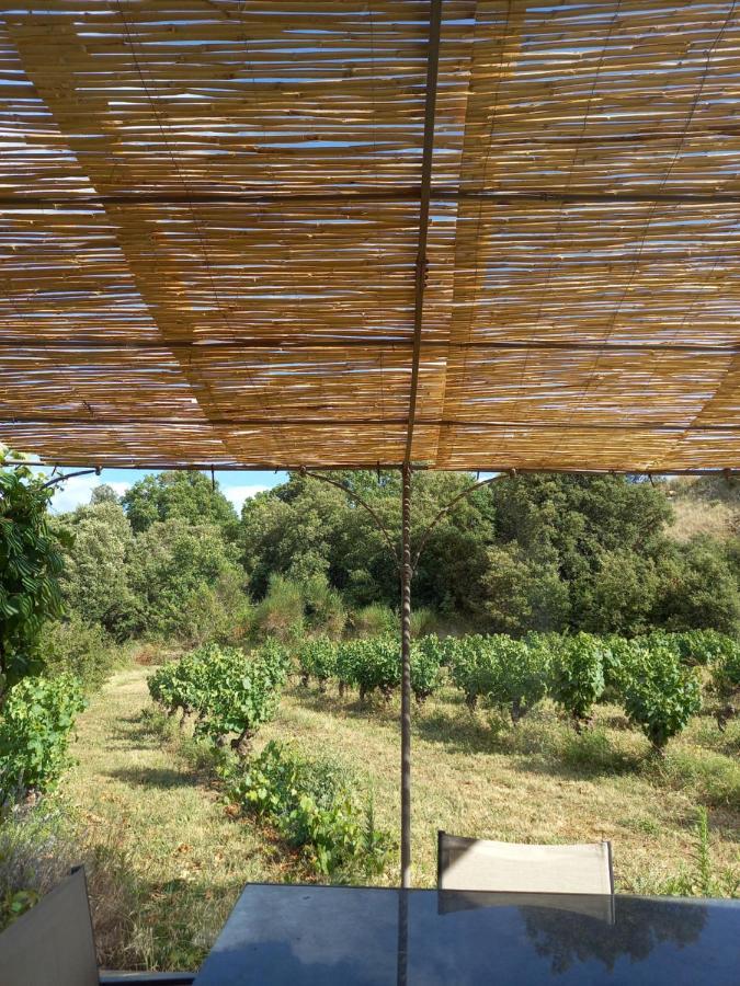Gite Vigneron Du Domaine D'Alon Magrie المظهر الخارجي الصورة