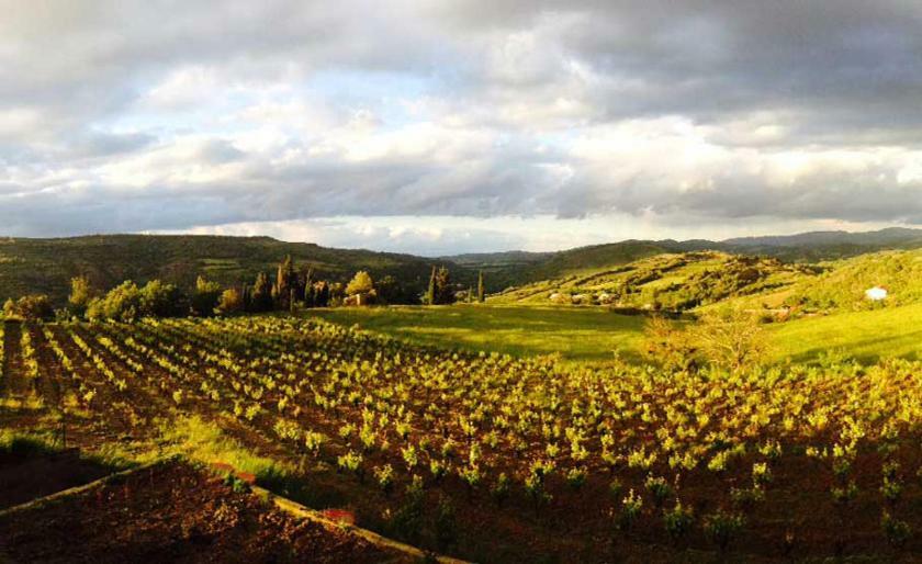 Gite Vigneron Du Domaine D'Alon Magrie المظهر الخارجي الصورة