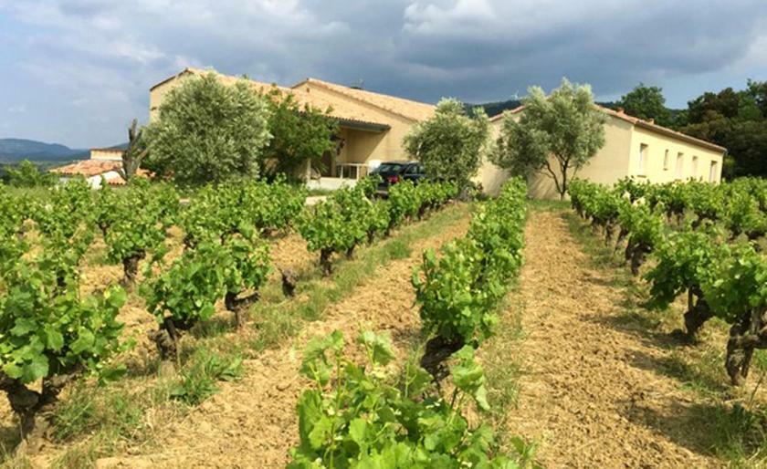 Gite Vigneron Du Domaine D'Alon Magrie المظهر الخارجي الصورة