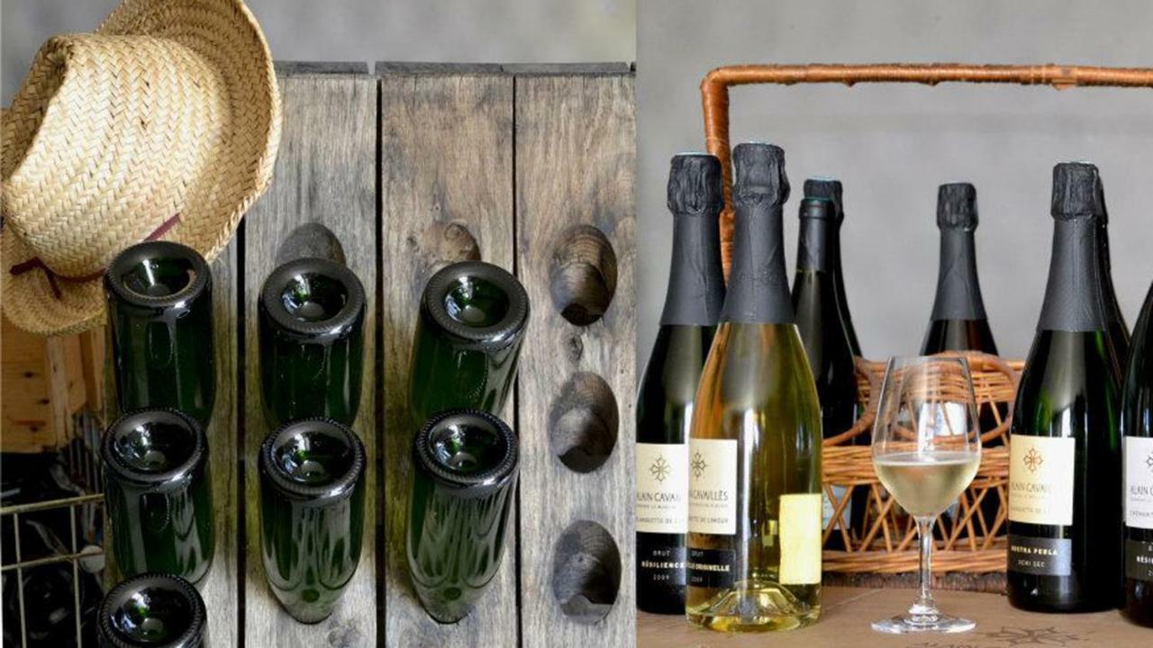 Gite Vigneron Du Domaine D'Alon Magrie المظهر الخارجي الصورة