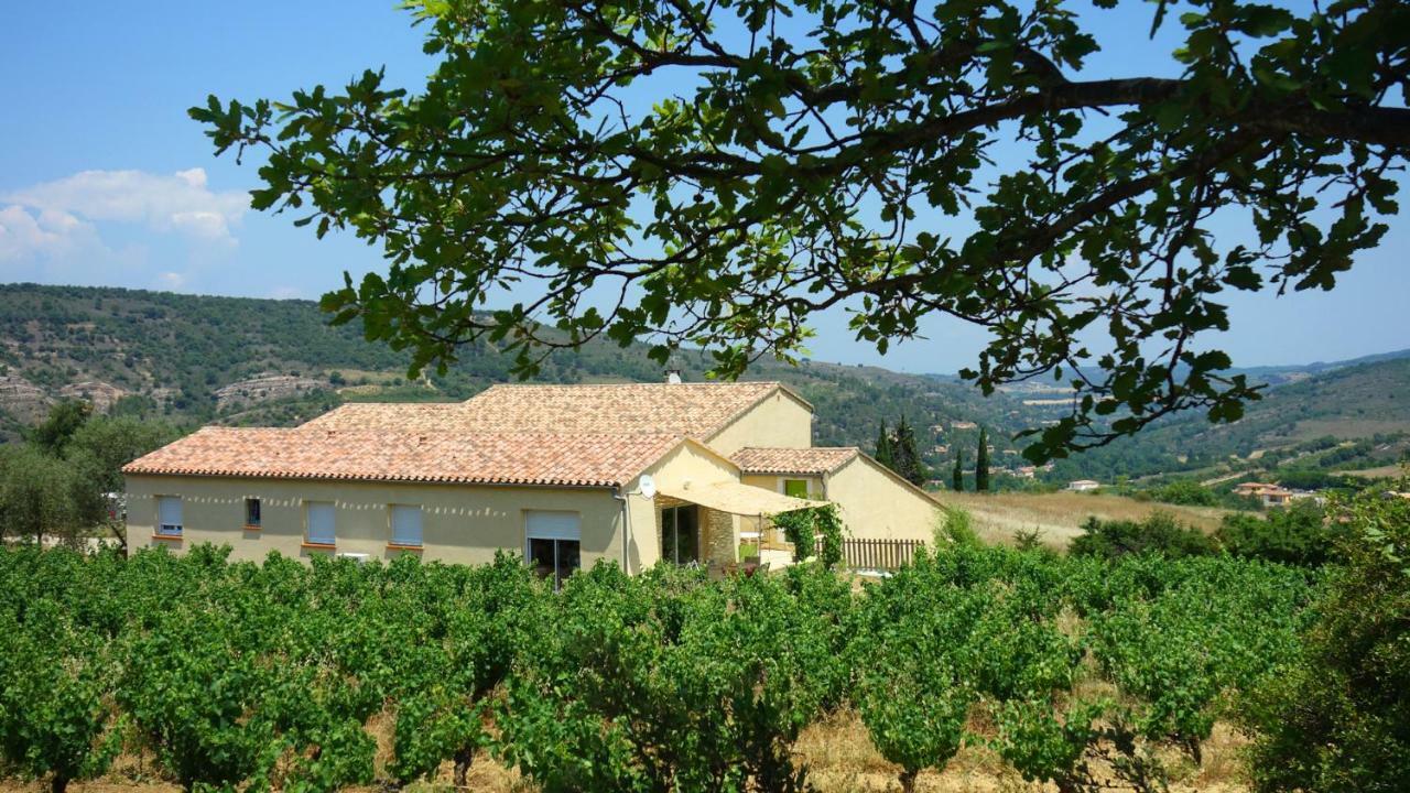 Gite Vigneron Du Domaine D'Alon Magrie المظهر الخارجي الصورة