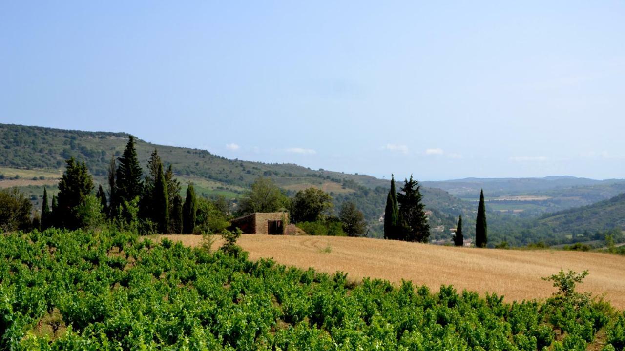 Gite Vigneron Du Domaine D'Alon Magrie المظهر الخارجي الصورة