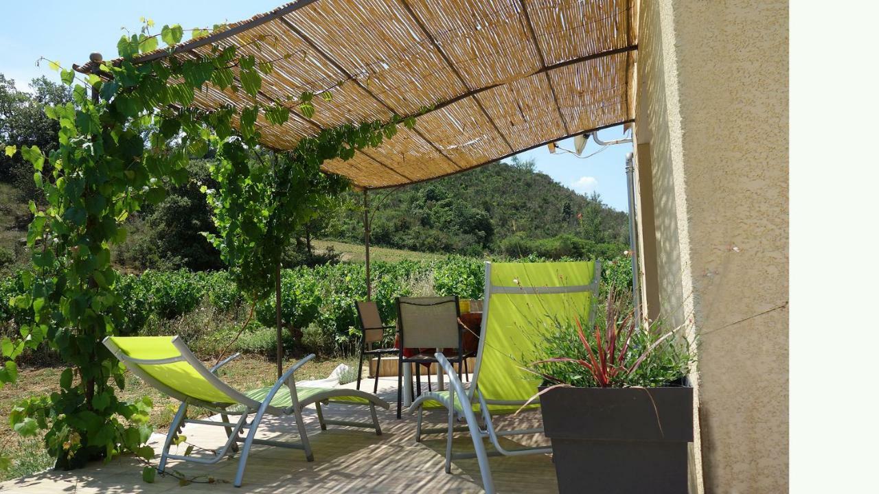 Gite Vigneron Du Domaine D'Alon Magrie المظهر الخارجي الصورة