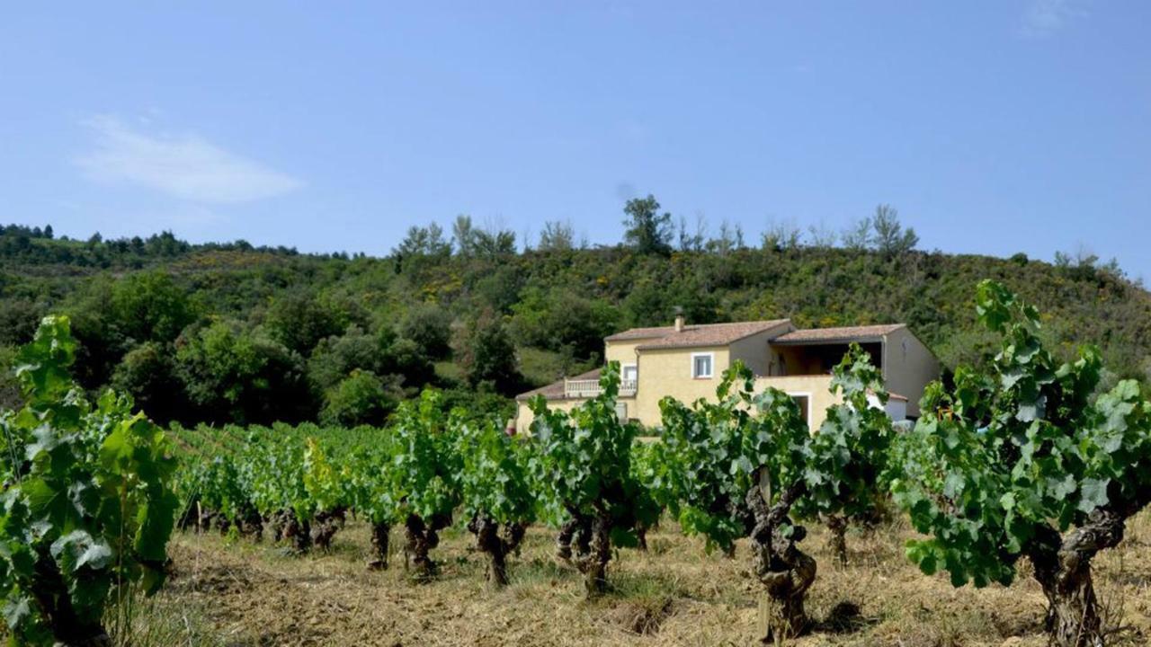 Gite Vigneron Du Domaine D'Alon Magrie المظهر الخارجي الصورة