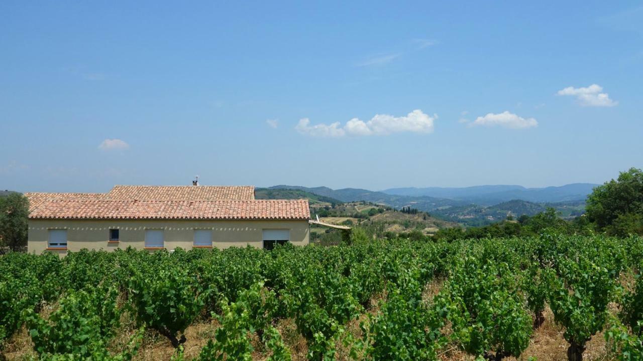 Gite Vigneron Du Domaine D'Alon Magrie المظهر الخارجي الصورة